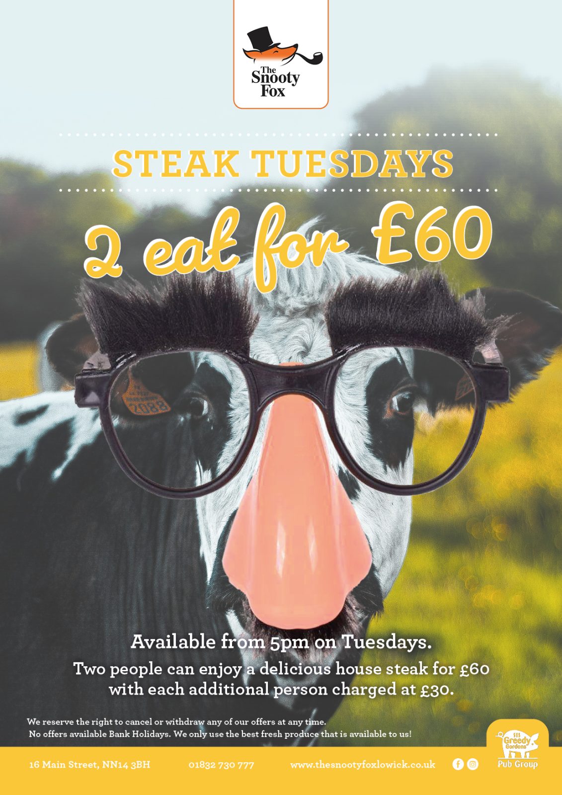 snooty tuesday offer
